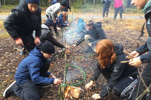 Skogen i Skolan