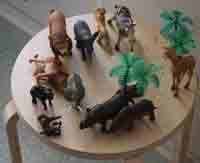 Tropiska djur i uterummet på Parkhemsskolan