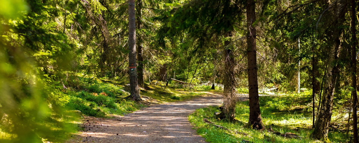 Webbinarium för studie- och yrkesvägledare