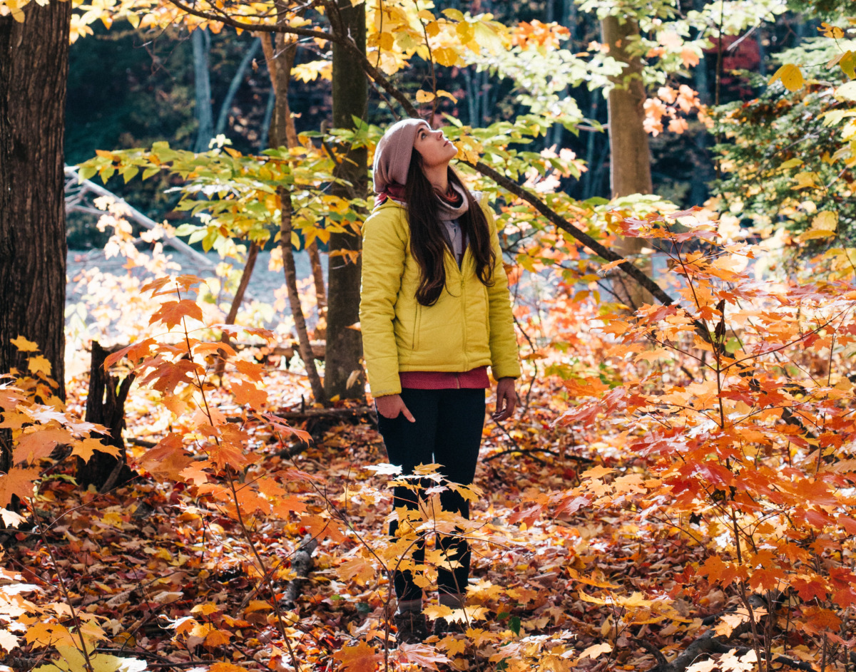 Skogsbad – Lärarhandledning