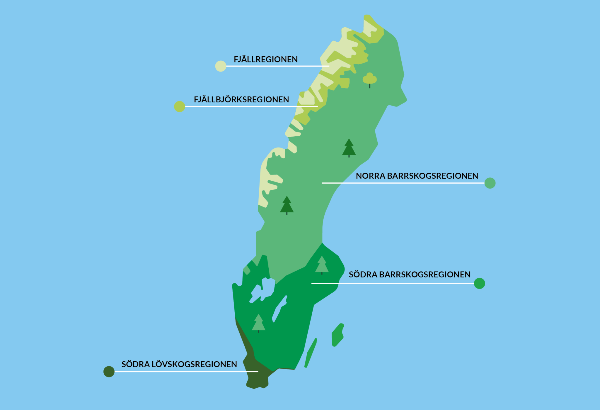 Sveriges skogar - Skogen i Skolan