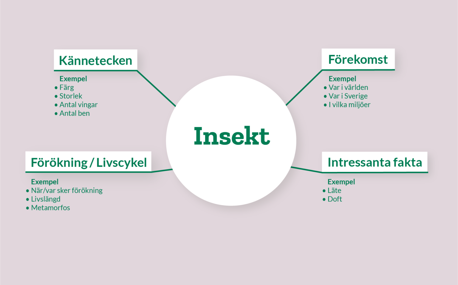 Mitt Liv Som Insekt Skogen I Skolan mitt-liv-som-insekt-skogen-i-skolan