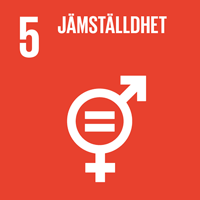 Ikon för Globala målen nummer 5: Jämställdhet