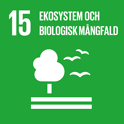 Ikon för Globala målen nummer 15: Ekosystem och biologisk mångfald