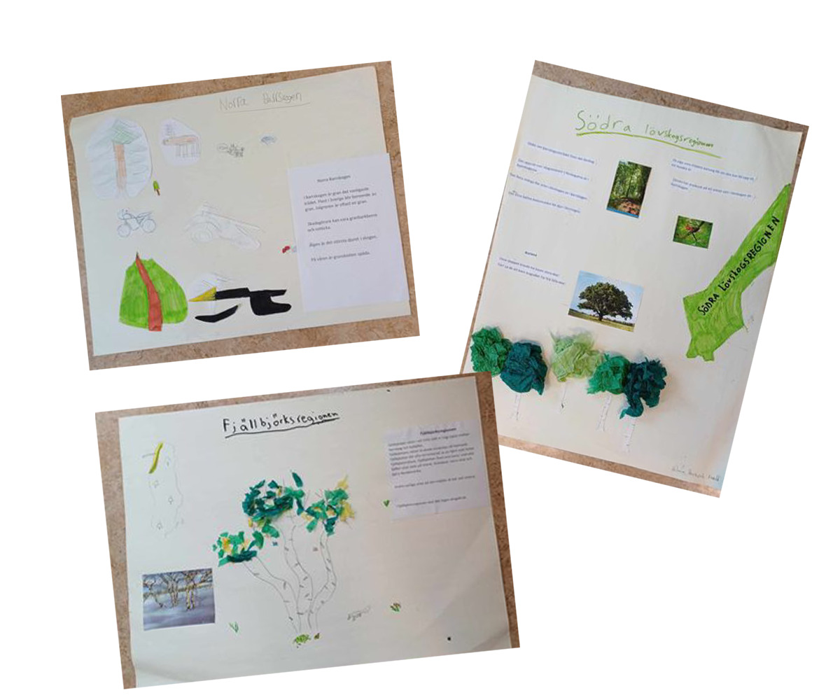 Distansundervisning om skog