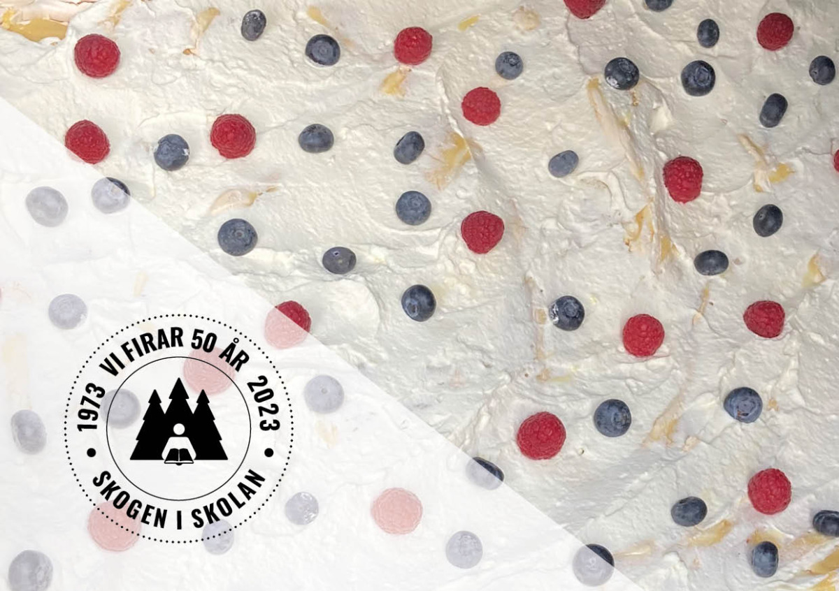 Inspirationsdag i Järvsö för pedagogisk personal