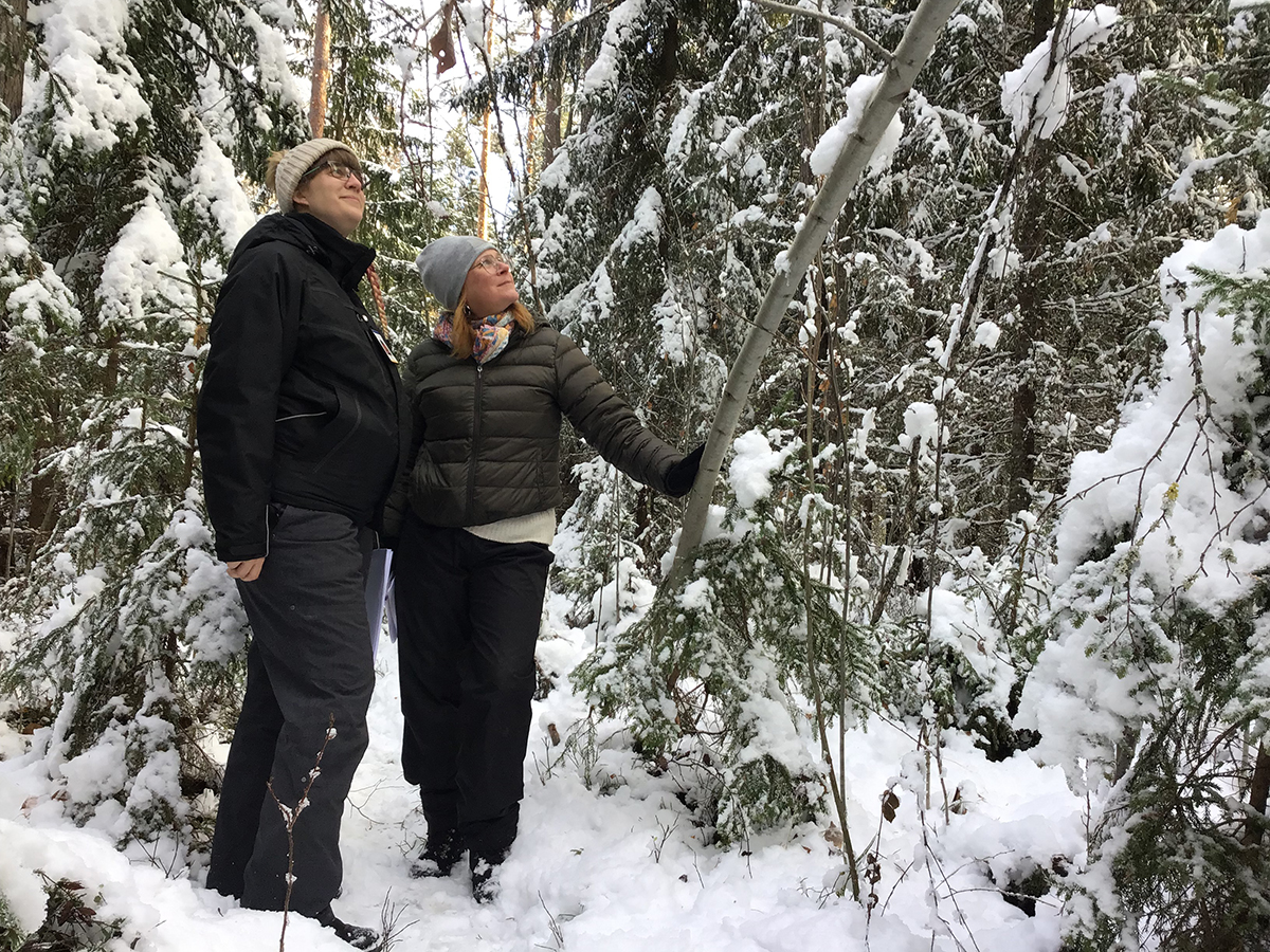 Kyrkebyskolan i Arvika har fått en skolskog