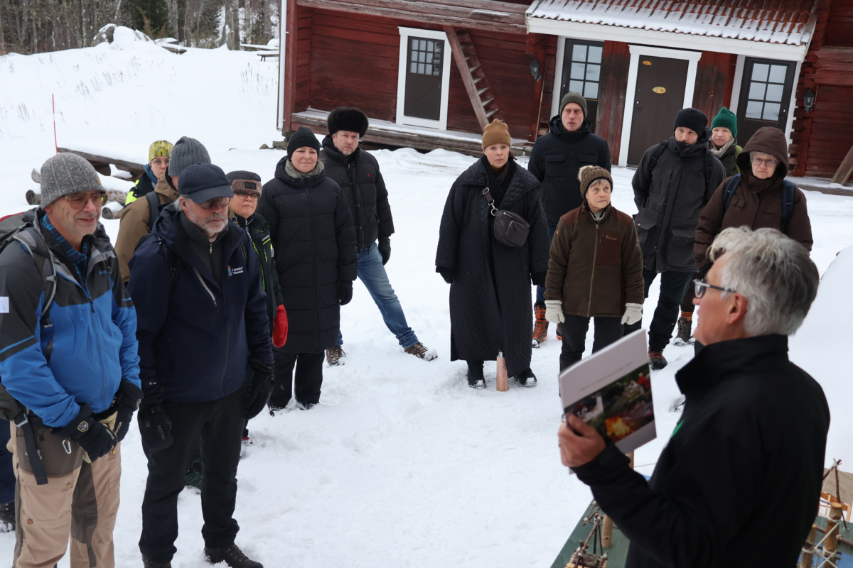 Skogligt rådslag i Värmland