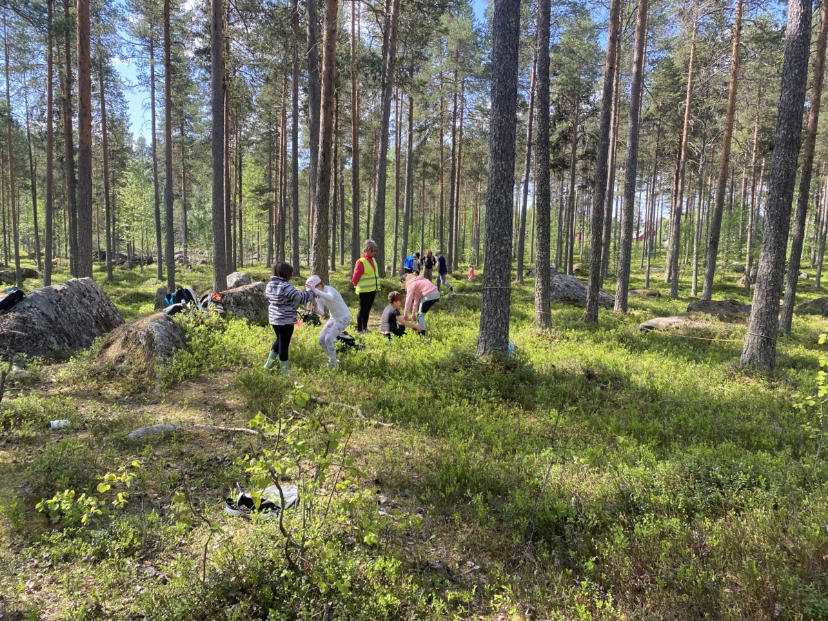 Skogsdag i Västerbotten