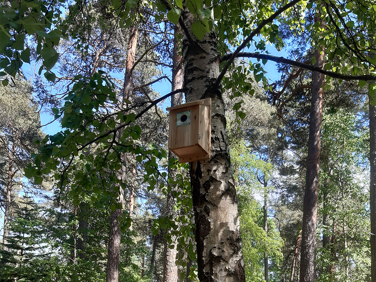 En fågelholk som sitter på ett träd.