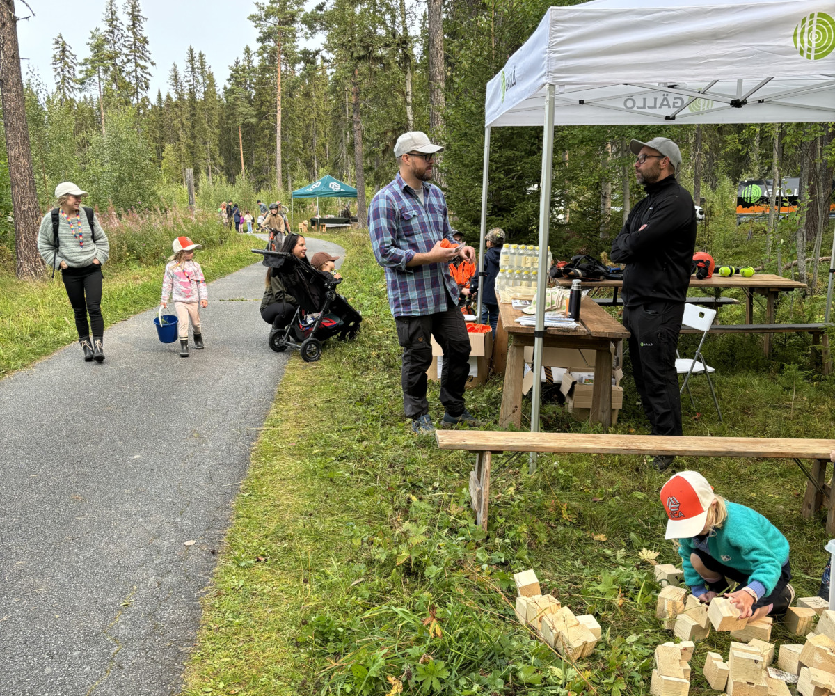 Skogsdag i Jämtland