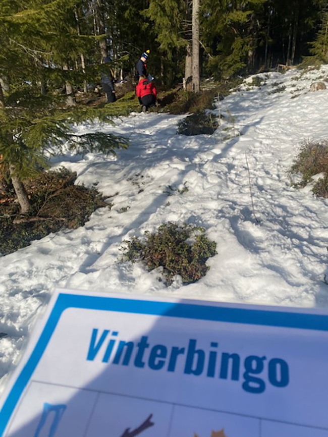 Vinterbingo i skogen!