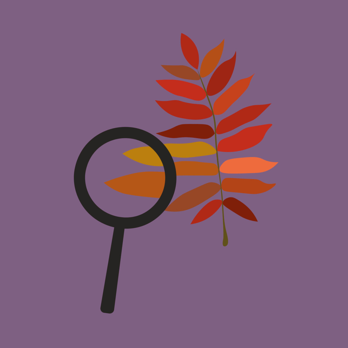 Utforska nedbrytning