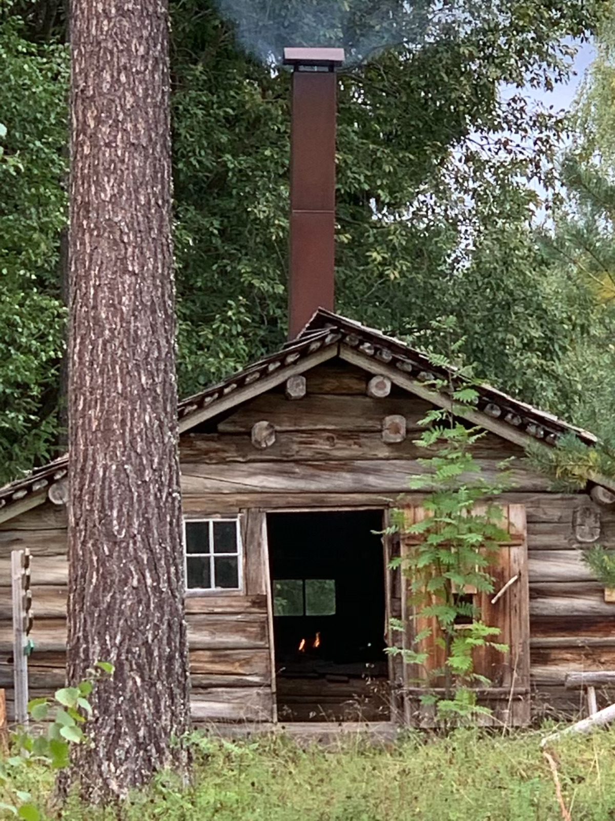 Skogsveckan vid Siljans skogsmuseum