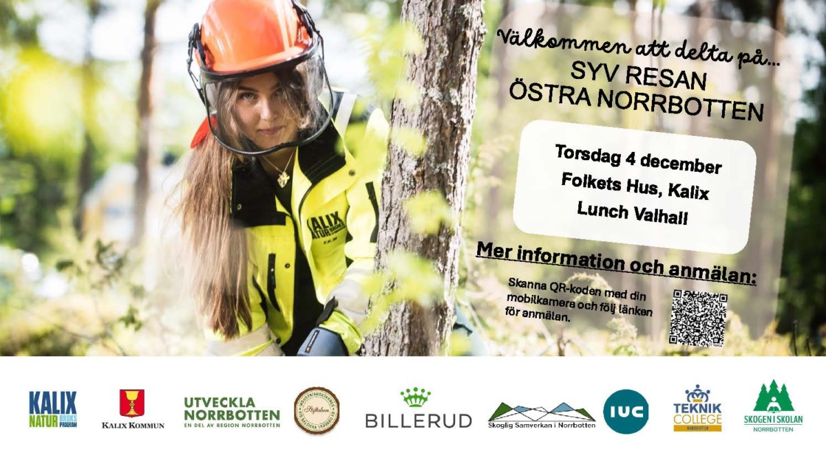 Arbetar du som studie- och yrkesvägledare i Norrbotten?