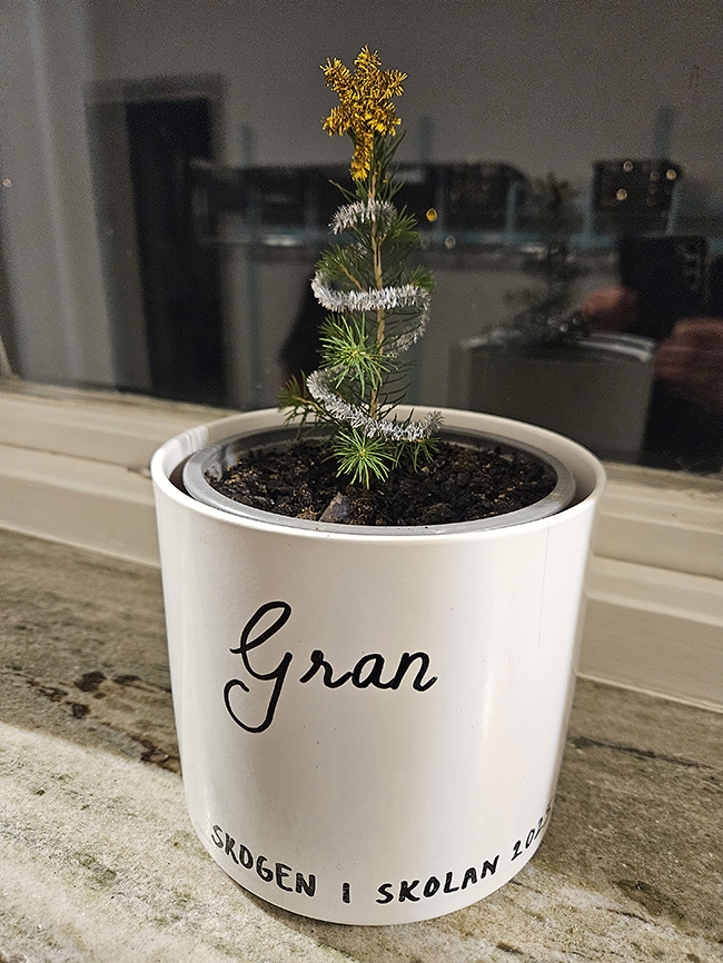 Julhälsning från Västra skolan