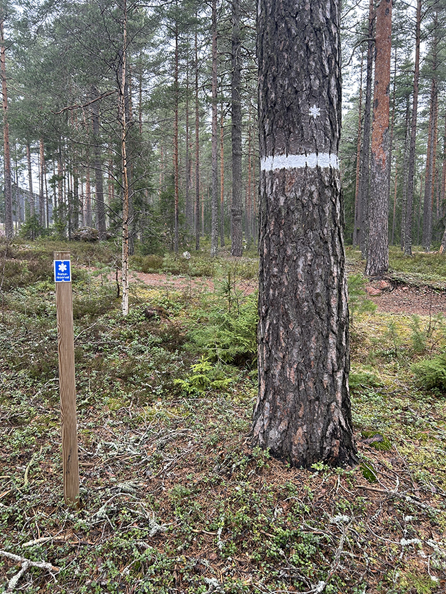 Foto: Helena Strandberg