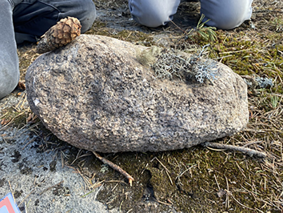 Skogspass med åk 2 på Kasamark skola