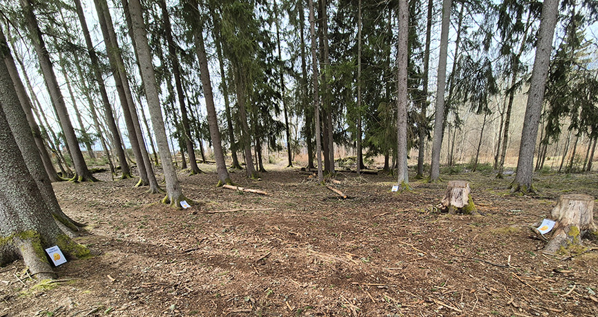 Foto: Gunvor Näs