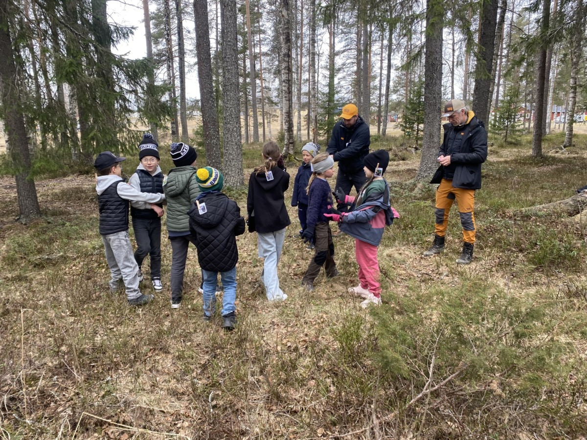 Skogsdag i Vännäs!