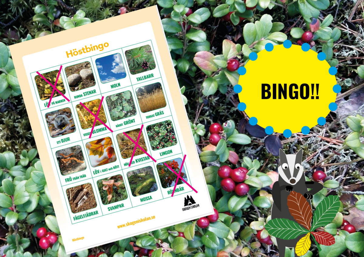 Nyhet – Höstbingo!